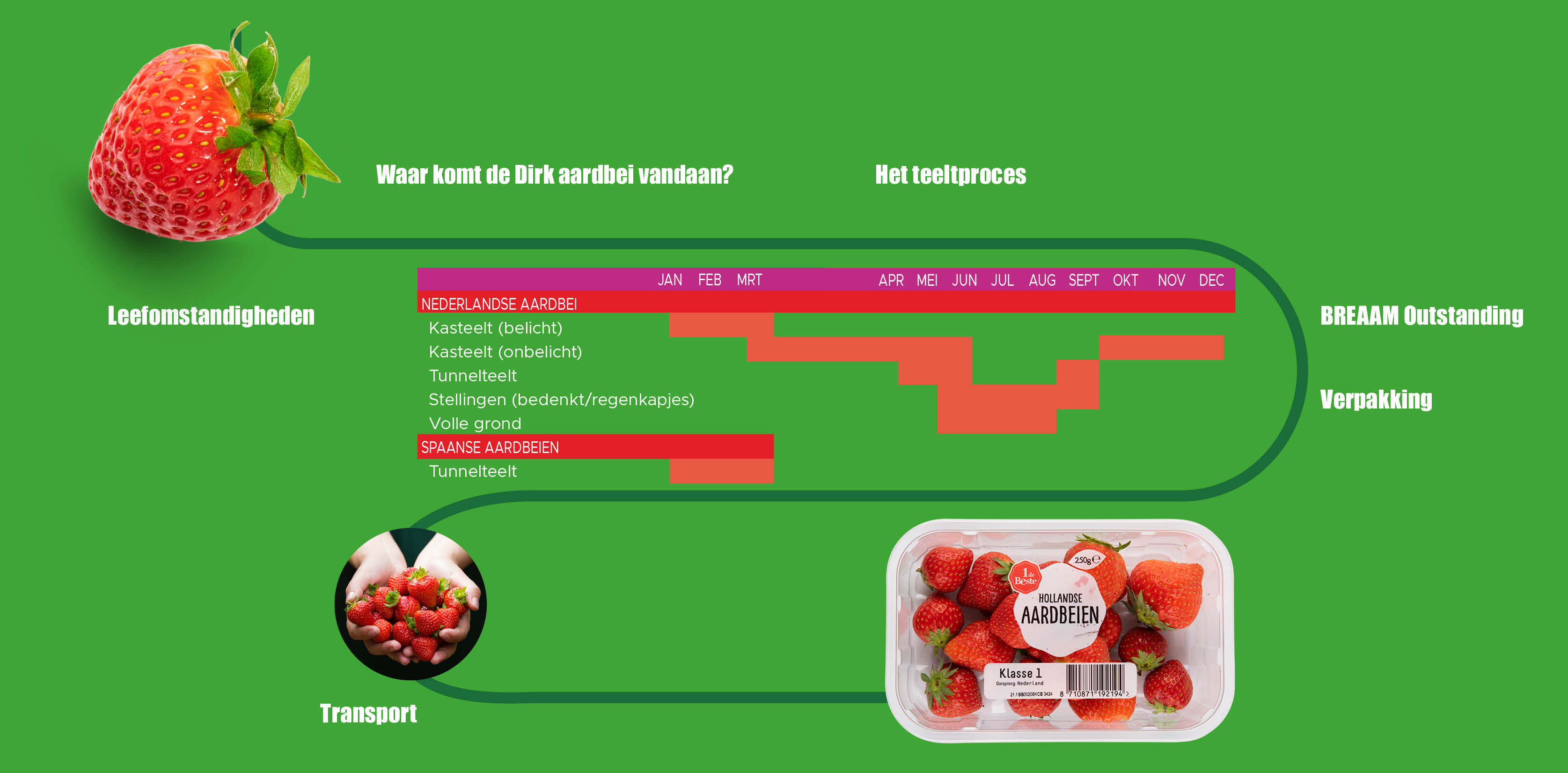Aardbeien